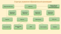 Структура органов управления